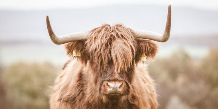 As Ethereum Approaches $4k, On-chain Data Shows Rally Will Continue Even Higher