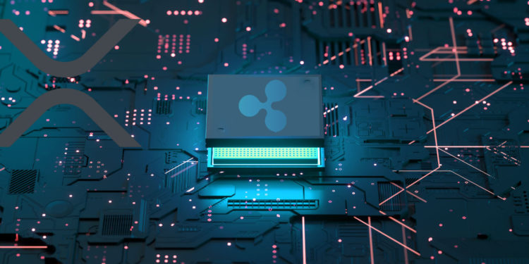 Ripple Lawyers Slam SEC Response To Motion That Could Expose Regulator Employees’ XRP Trading History