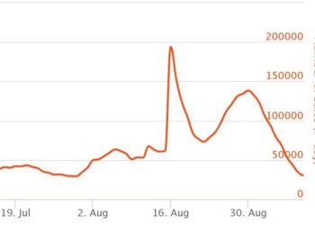 NFT Market Sales, Interest Slide Down This Month