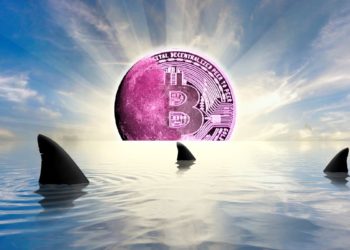 Here’s What It Would Take for Shark Tank Investor Kevin O’Leary Says To Put More Capital Into Bitcoin and Crypto