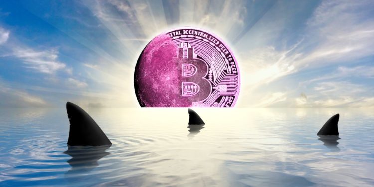 Here’s What It Would Take for Shark Tank Investor Kevin O’Leary Says To Put More Capital Into Bitcoin and Crypto