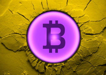 Former President Trump Suggests Crypto ‘May Be Fake,’ Says He’s Not Invested in BTC or Other Digital Assets