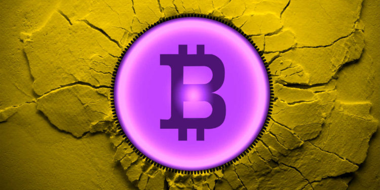 Former President Trump Suggests Crypto ‘May Be Fake,’ Says He’s Not Invested in BTC or Other Digital Assets