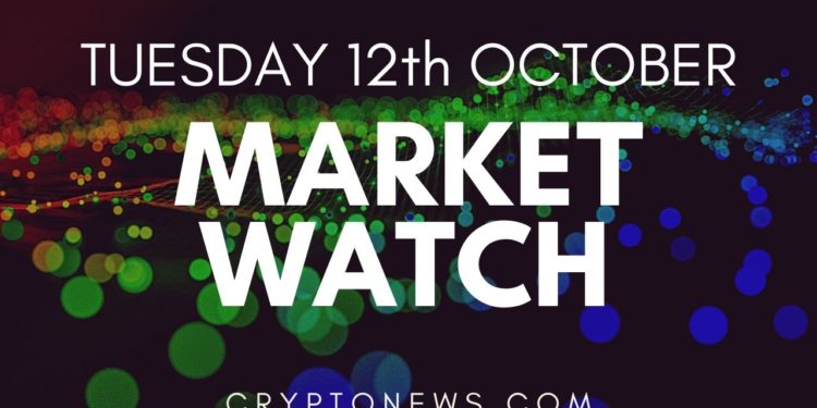 Bitcoin Still Consolidates While Ethereum and Altcoins Drop