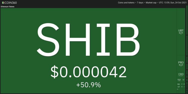 Top 10 Performing Cryptos Of The Week, 17-24 October 2021