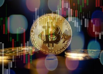 The Number of Bitcoin Addresses in Profitability Breaks the Record, Price Inches Closer to ATH of $64,800