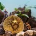 Publicly-Traded Bitcoin Miners’ Accumulation Goes a Notch Higher