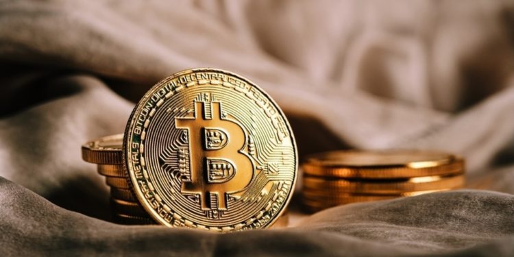 Bitcoin Holdings in Public Company Treasuries Exceed 200,000 BTC