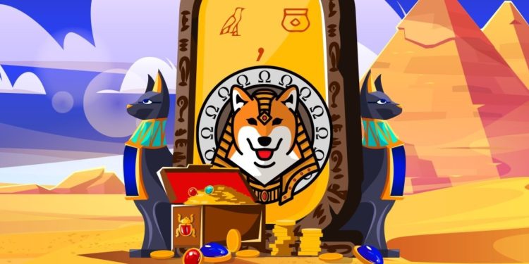 Dog-Themed DeFi Project Mysteriously Loses Fundraised $60 Million