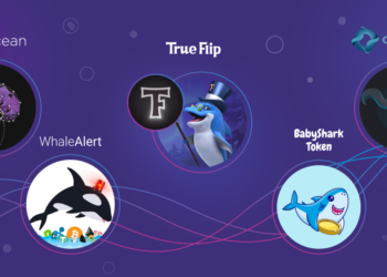 Shrimps, Sharks, Whales and Other Fish in Crypto