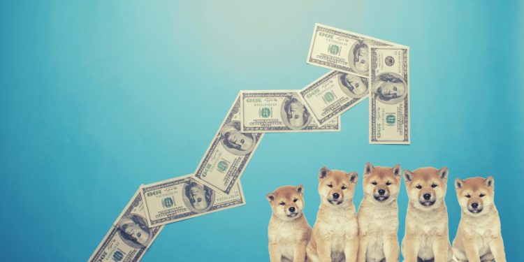 Why Has Shiba Inu Soared 385% In A Week?