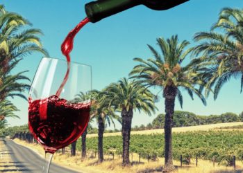 Barossa Winemaker Launches Entire Vintage As Drinkable NFTs