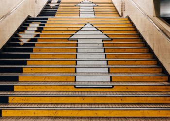 Fantom Token Soars as DeFi Usage Takes Off, Shiba Inu Crashes