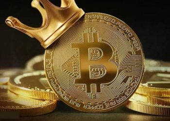 Number Of Bitcoin Whales On The Rise As BTC Chases New All-Time High