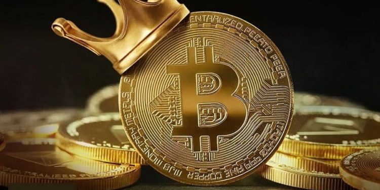 Number Of Bitcoin Whales On The Rise As BTC Chases New All-Time High