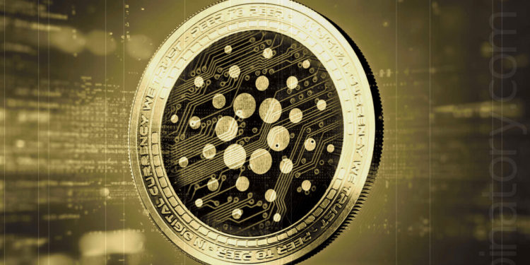 Cardano Investors In Japan Come Under Fire For $6 Million In Underreported Taxes