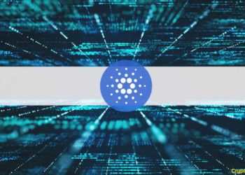 Grayscale Report Shows The Good, The Bad, And The Ugly Of The Cardano Network