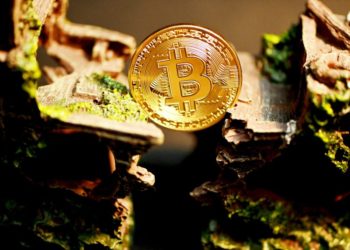 Bitcoin Short-Term Supply Reaches All-Time Low