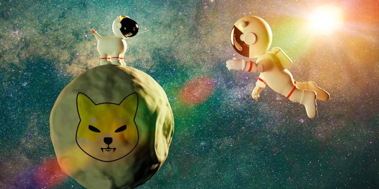 Is Elon Musk a Shiba Inu Holder? Tesla CEO Says He Owns These Three Crypto Assets