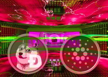 Dogecoin Adoption in the US Supercedes Bitcoin and Ethereum, According to New Crypto Survey