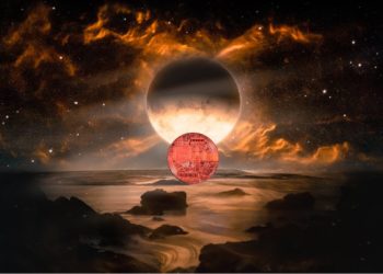 Solana, Avalanche, and Two More Altcoins Setting Up for New Highs, According to Top Crypto Trader