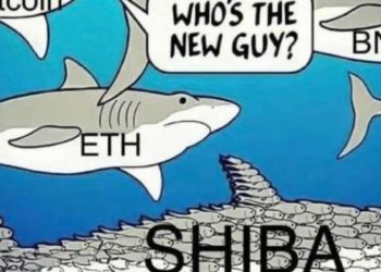 Crypto Memes Of The Week – Nov 5