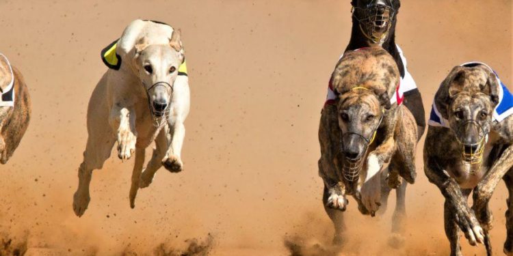 Top Winners/Losers of October; BTC, ETH All-Time Highs, Meme Rally Continues