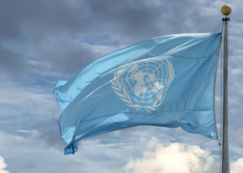 United Nations Showcases NFTs Meant to Foster Climate Change Awareness