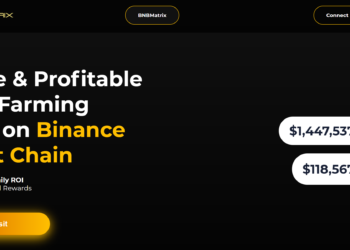 BNBMatrix Releases Yield Farming Dapp on BUSD: BUSDMatrix