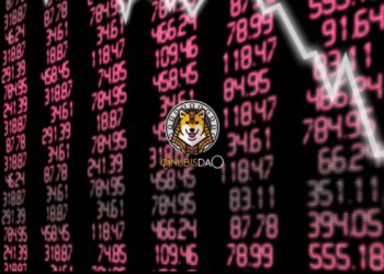 DeFi Investor Loses $470K As Dog Themed Token AnubisDAO Drained Of $60 Million