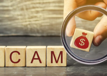 Animoca Brands to Cover Losses of Recent Scam Victims