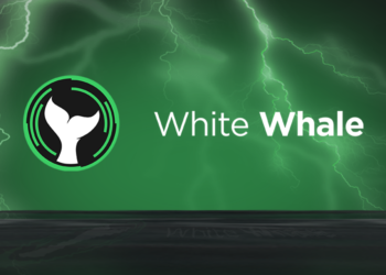 White Whale Releases Details on Flash Loan Architecture