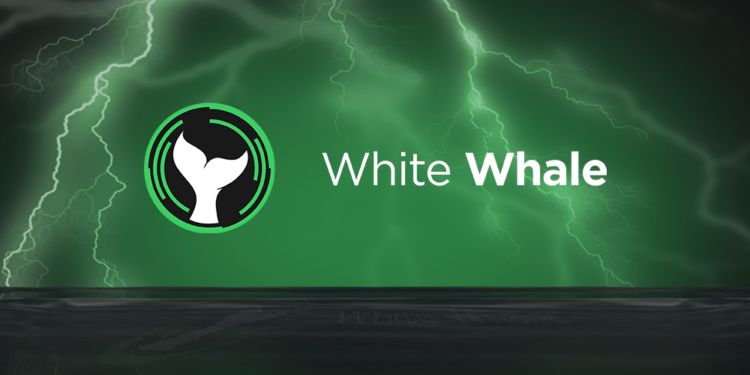 White Whale Releases Details on Flash Loan Architecture
