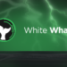 White Whale Releases Details on Flash Loan Architecture