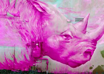 Rhino Horn NFT Sells For $7,000 At South African Charity Auction