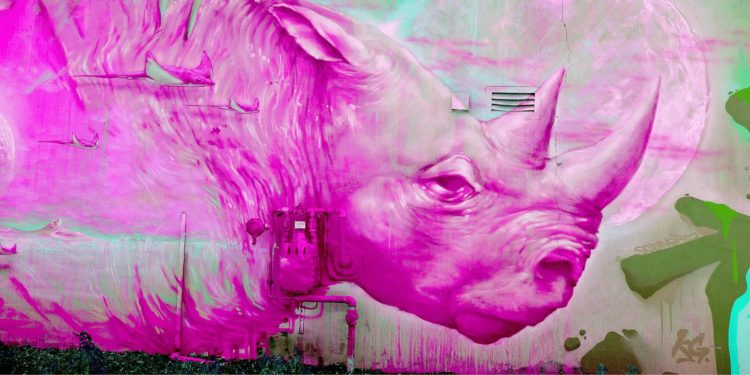 Rhino Horn NFT Sells For $7,000 At South African Charity Auction