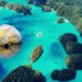 Small Island Nation Palau Partners With Ripple On Eco Friendly Digital Currency