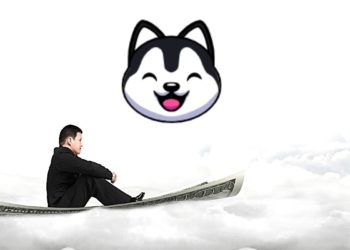 SnowdogDAO Potentially Rugged For $30 Million