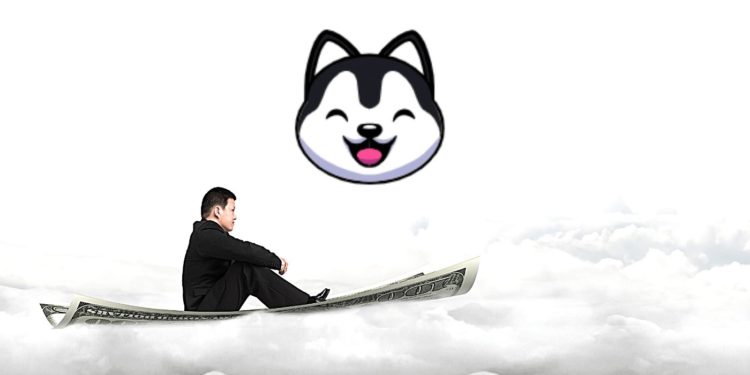 SnowdogDAO Potentially Rugged For $30 Million