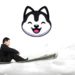 SnowdogDAO Potentially Rugged For $30 Million