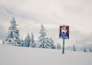How Avalanche Has Climbed It’s Way Towards The Top