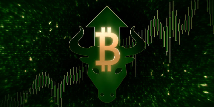 10 Bullish Monthly Bitcoin Price Charts To Start November