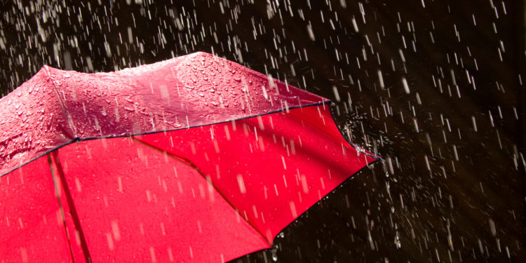 November Rains Red For Bitcoin Holders