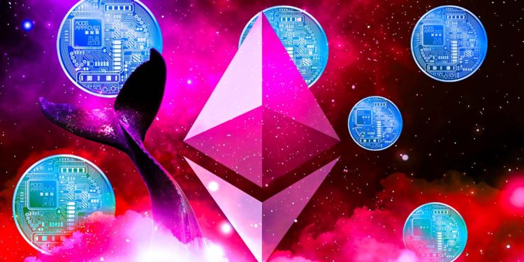 Ethereum Whale Loading Up on Six Altcoins Amid Bitcoin and Crypto Market Resurgence