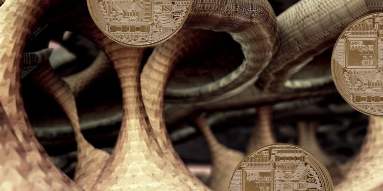 Four Altcoins Including Binance Coin and Avalanche Primed To Hit the Stratosphere, According to Popular Crypto Analyst