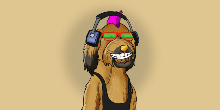 Polkadog Returns to the Market