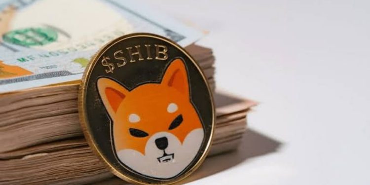 Shiba Inu Beats Out Cardano, Dogecoin On Top 10 Watch-Listed Tokens