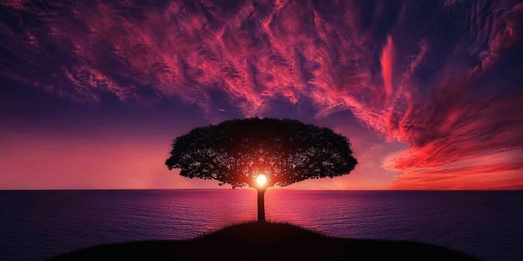 Growing Crypto On Trees With Yield Farming