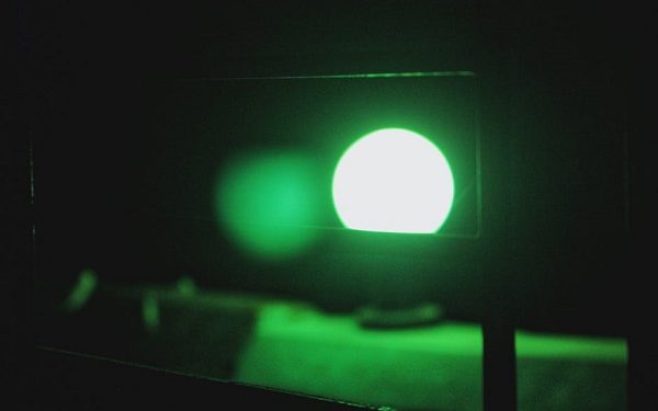 Despite Red Bitcoin, On-Chain Signals Flip Green