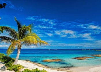 Crypto Investors Are Creating A DAO To Buy A Caribbean Island